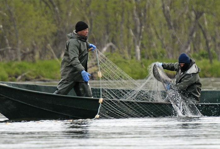 Рыболовам Карелии и Коми подготовили памятку по рыболовным сетям