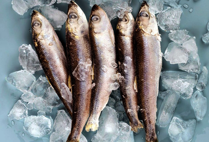 На Камчатке планируют масштабное строительство холодильных складов для рыбы
