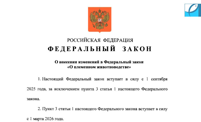 К 1 марта 2026 года в России появится единая база данных о племенных животных и рыбах