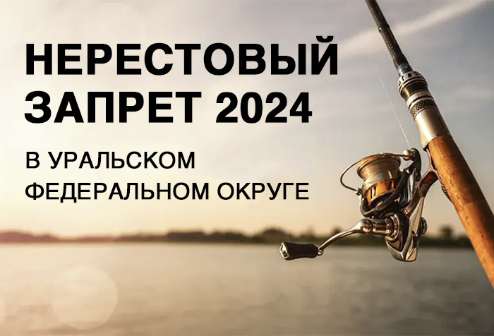 Нерестовый запрет по регионам в Уральском федеральном округе в 2024 году