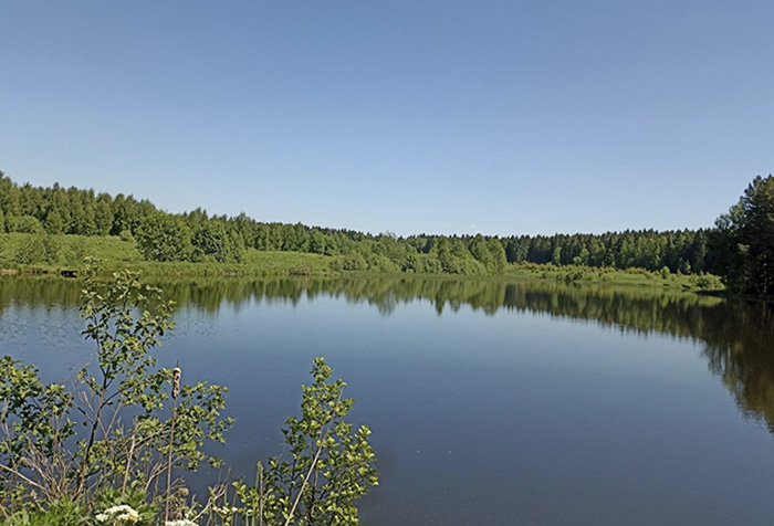 В Московской области выставили на торги Кузеневский пруд 