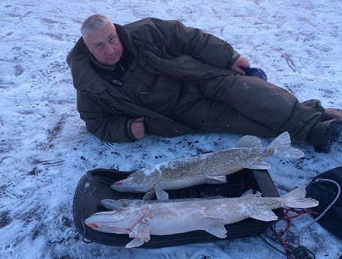 Где ловить щуку в Ленинградской области с берега? | Рыбалка в Петербурге