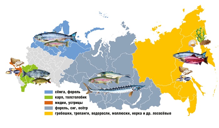 Енот где обитает в россии карта охвата