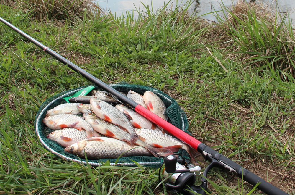 Рыбалка в апреле на Ладоге: лучшее время, советы и прогнозы