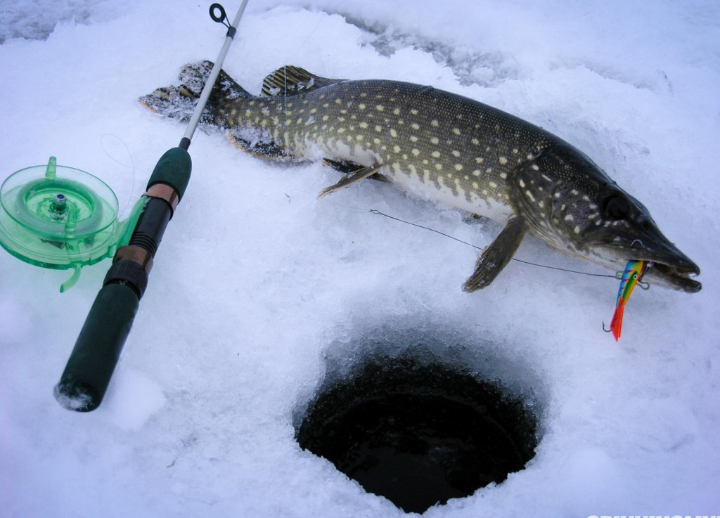 Зимние жерлицы для рыбалки: виды, конструкция, особенности