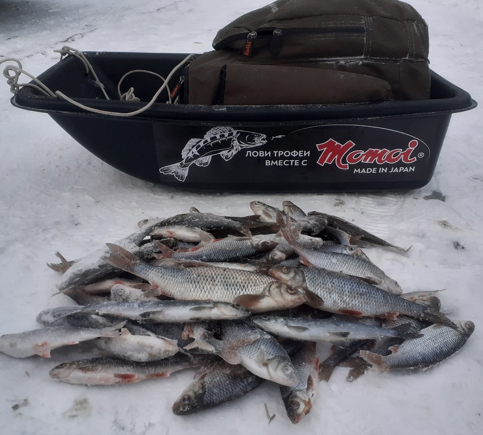 Зимняя рыбалка: ловля плотвы на течении